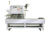 DS-2500TR : Intermittent top sealing machine
