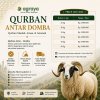 Qurban Antar Domba