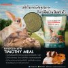 Randolph Timothy Meal หนึ่งในอาหารฟื้นฟูสุขภาพที่ควรมีติดบ้าน,ติดฟาร์มไว้ Randolph Timothy Meal หนึ่งในอาหารฟื้นฟูสุขภาพที่ควรมีติดบ้าน,ติดฟาร์มไว้