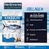 แรนดอล์ฟซัพพลีเม้นท์ COLLAGEN สแน็คสำหรับกระต่าย และสัตว์กินพืชขนาดเล็กทุกชนิด แรนดอล์ฟซัพพลีเม้นท์ COLLAGEN สแน็คสำหรับกระต่าย และสัตว์กินพืชขนาดเล็กทุกชนิด
