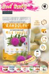 แรนดอล์ฟซัพพลีเม้นท์ MILK THISTLE สแน็คสำหรับกระต่าย และสัตว์กินพืชขนาดเล็กทุกชนิด แรนดอล์ฟซัพพลีเม้นท์ MILK THISTLE สแน็คสำหรับกระต่าย และสัตว์กินพืชขนาดเล็กทุกชนิด