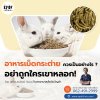 อาหารเม็ดกระต่าย ควรเป็นอย่างไร อย่าถูกใครเขาหลอก! อาหารเม็ดกระต่าย ควรเป็นอย่างไร อย่าถูกใครเขาหลอก!