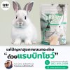 "แก้ปัญหาสุขภาพขนกระต่ายด้วยแรบบิทโชว์" ขนสวยง่าย ๆ ด้วยโภชนาการ Beautiful fur condition with protein from RANDOLPH RABBIT SHOW "แก้ปัญหาสุขภาพขนกระต่ายด้วยแรบบิทโชว์" ขนสวยง่าย ๆ ด้วยโภชนาการ Beautiful fur condition with protein from RANDOLPH RABBIT SHOW
