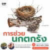 การช่วยนกตกรัง การช่วยนกตกรัง
