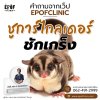 คำถามจากเว็ป Epofclinic 