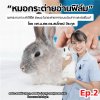 หมอกระต่ายอ่านฟิล์ม EP2: ผลกระทบภาวะลำไส้อืด (ileus) ในกระต่ายจากระบบประสาท และฮอร์โมน? หมอกระต่ายอ่านฟิล์ม EP2: ผลกระทบภาวะลำไส้อืด (ileus) ในกระต่ายจากระบบประสาท และฮอร์โมน?