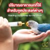ปริมาณอาหารนกที่ให้สำหรับจุดประสงค์ต่างๆ Feeding Guidelines for Pet Birds ปริมาณอาหารนกที่ให้สำหรับจุดประสงค์ต่างๆ Feeding Guidelines for Pet Birds
