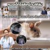 หมอเอ็กโซติกอ่านฟิล์ม การเอกซเรย์และ ECG ในกระต่ายหัวใจโต 