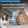 เราควรจะใช้จุลินทรีย์ชนิดใดในการรักษากระต่ายลำไส้อืด ?