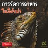 การจัดการอาหารในอิกัวน่า Dietary management of Iguana