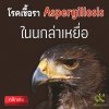 โรคเชื้อรา Aspergillosis ในนกล่าเหยื่อ (Aspergillosis in raptor) โรคเชื้อรา Aspergillosis ในนกล่าเหยื่อ (Aspergillosis in raptor)