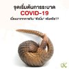 จุดเริ่มต้นการระบาด COVID-19 เนื่องมาจากการกิน "ตัวนิ่ม" จริงหรือ?? จุดเริ่มต้นการระบาด COVID-19 เนื่องมาจากการกิน "ตัวนิ่ม" จริงหรือ??