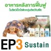ep3. อาหารหลังการฟื้นฟู sustain