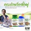 ครบถ้วนเรื่องฟื้นฟู Ubdate! Rabbit Recovery Foods: High Protection and Intensive Recovery in Rabbit