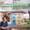 การเลือกอาหารกระต่ายที่ดีโดยวิธีทดสอบอาหารด้วยผู้เลี้ยงและสัตวแพทย์เอง 5 วิธี การเลือกอาหารกระต่ายที่ดีโดยวิธีทดสอบอาหารด้วยผู้เลี้ยงและสัตวแพทย์เอง 5 วิธี