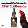 โด้ปชนิดเจลนี้ใช้ในไก่ชนได้จริงหรือ? ด้วย &quot;BTW Gel Booster for Birds&quot; โดย ผศ.น.สพ.ดร.สมโภชน์ วีระกุล