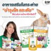 อาหารเสริมในกระต่าย บำรุงไต และตับ ใช้ร่วมในการรักษาได้หรือไม่? อาหารเสริมในกระต่าย บำรุงไต และตับ ใช้ร่วมในการรักษาได้หรือไม่?