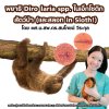 พยาธิ Dirofilaria spp. ในเอ็กโซติก สัตว์ป่า (และสลอท in Sloth!) พยาธิ Dirofilaria spp. ในเอ็กโซติก สัตว์ป่า (และสลอท in Sloth!)