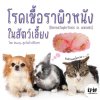 โรคเชื้อราผิวหนัง (Dermatophytosis in animals)