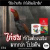 ไก่ชน..ทำไมต้องเสริมมากกว่าโปรตีน EP.2 &quot;ใช้อะไรเสริม ถ้าไม่ใช่แค่โปรตีน&quot; โดย ผศ.น.สพ.ดร.สมโภชน์ วีระกุล