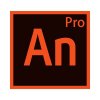 Adobe Animate-Pro (65309287BA01B12)