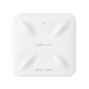 Reyee RG-RAP6260(H)-D, AX6000 High-density Outdoor Directional Access Point