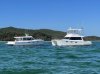 New Scimitar yachts with Yanmar power New Scimitar yachts with Yanmar power