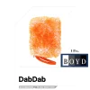CARPRO Wash Pad(Dab Dab)