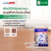 เปลี่ยนห้องสไตล์เดิม ๆ ให้มีสีสัน ด้วย กาวยาแนว จระเข้ พรีเมี่ยม พลัส เงิน