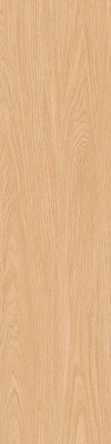 ทาทามิ 30x120 TATAMI 30x120