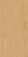 ทาทามิ (AS) 60x120  (TATAMI (AS) 60x120)