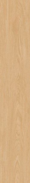 สตริป ทาทามิ STRIP TATAMI