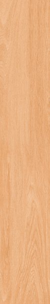 สตริป เดลาลัส บราวน์ STRIP DAELALUS BROWN