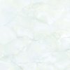 คาร์เนชั่นไวท์ CARNATION WHITE