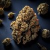 Roller High – Premium, Natural Cannabis in Chiang Mai Roller High – Premium, Natural Cannabis in Chiang Mai