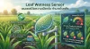 Leaf Wetness Sensor Leaf Wetness Sensor