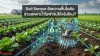 Soil Sensor (เซนเซอร์วัดความชื้นในดิน) Soil Sensor (เซนเซอร์วัดความชื้นในดิน)