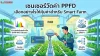 เซนเซอร์วัดค่า PPFD เซนเซอร์วัดค่า PPFD