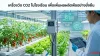 เครื่องวัด CO2 ในโรงเรือน เครื่องวัด CO2 ในโรงเรือน