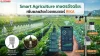 Smart Agriculture (เกษตรอัจฉริยะ) Smart Agriculture (เกษตรอัจฉริยะ)
