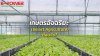 เกษตรอัจฉริยะ (Smart Agriculture) เกษตรอัจฉริยะ (Smart Agriculture)