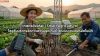 เกษตรอัจฉริยะ (Smart Agriculture) เกษตรอัจฉริยะ (Smart Agriculture)