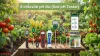 เครื่องวัด pH ดิน (Soil pH Tester) เครื่องวัด pH ดิน (Soil pH Tester)
