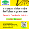 การวางแผนกำลังการผลิตสำหรับโรงงานอุตสาหกรรม ( Capacity Planning for Industry)