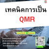 หลักสูตร เทคนิคการเป็น QMR