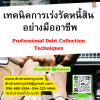 หลักสูตร เทคนิคการเร่งรัดหนี้สิน อย่างมืออาชีพ
