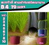 (B4) สายผ้าท่อผ้าร่มเคลือบกันน้ำชนิดเบาบางมีหน้า 2,3,4,5,6,,7,8,10 แบ่งจำหนาย 70,เมตร