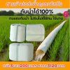 (3)สายผ้าท่อส่งน้ำถุงลมนิรภัยเนื้อผ้าเหนียวแน่นไม่ฉีกขาดง่าย หน้า 2  จำหน่ายสินค้าแบบยาว 50,70,100,120,150,200 เมตร