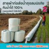 (3)สายส่งน้ำผ้าถุงลมสำหรับใช้สำหรับสวนไร่นาพื้นที่เกษตร หน้า 7 ยาว 50 ,70 ,100 ,120 ,150 ,200 เมตร