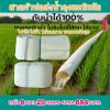 (3)สายผ้าท่อส่งน้ำถุงลมนิรภัยเนื้อผ้าไม่ฉีกขาดง่ายไม่รั่วไม่ซึม หน้า 8  แบ่งจำหน่ายม้วนหนึ่งยาว 20,30,40,50,60 ,70 เมตร)